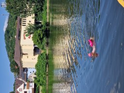 Mainschwimmen Juni 2026